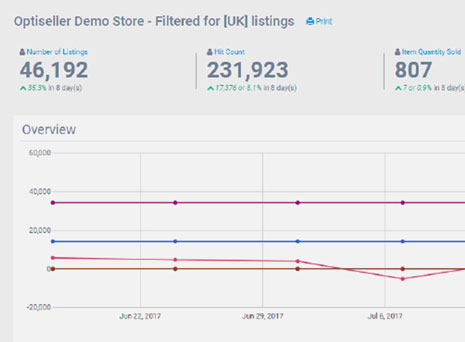 eBay Store Performance Dashboard Image